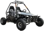 Batman 200 DLX Buggy Go Kart, Electric Start, Automatic with Reverse, 10-inch Alloy Wheels