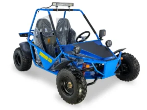 Barstow 200 Buggy Go Kart, Automatic with Reverse, Full-Size