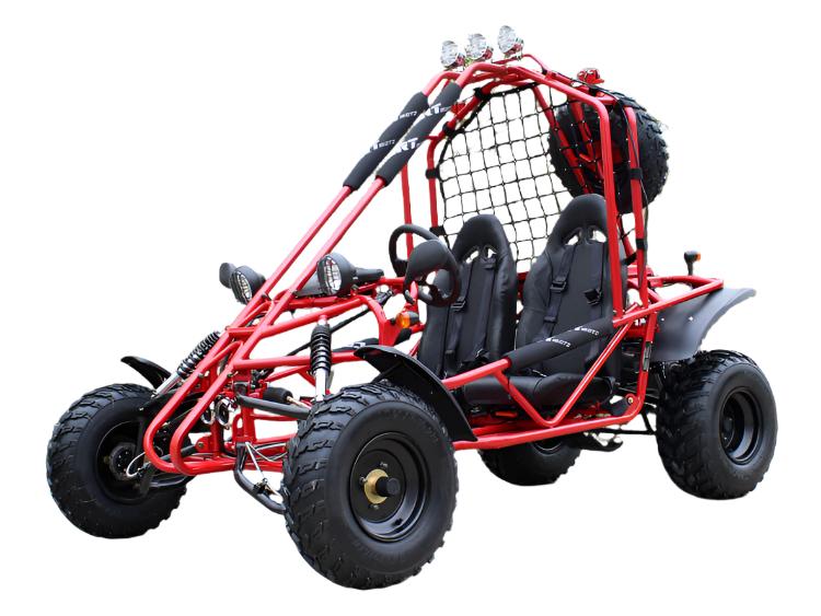 Spider 200 Buggy Go Kart, Electric Start, Automatic with Reverse, 10-inch Steel Wheels - Image 2