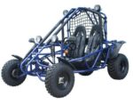 Spider 200 Buggy Go Kart, Electric Start, Automatic with Reverse, 10-inch Steel Wheels