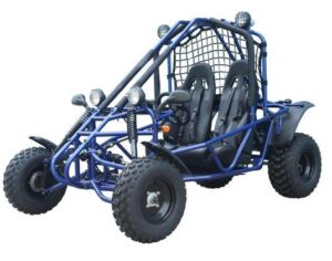 Spider 200 Buggy Go Kart, Electric Start, Automatic with Reverse, 10-inch Steel Wheels